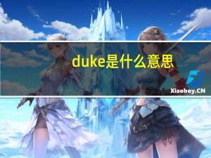 duke是什么意思