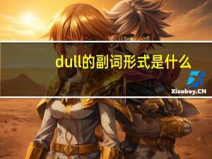dull的副词形式是什么