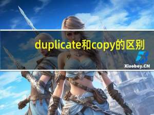 duplicate和copy的区别