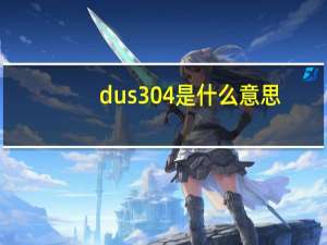 dus304是什么意思