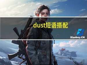 dust短语搭配