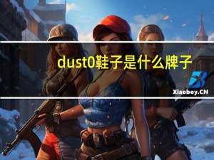 dust0鞋子是什么牌子