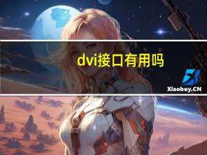 dvi接口有用吗（dvi接口有哪几种）