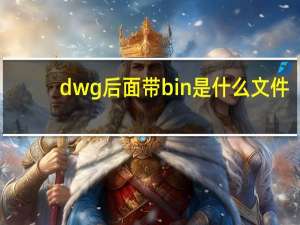 dwg后面带bin是什么文件