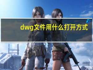 dwg文件用什么打开方式（dwg文件用什么打开）