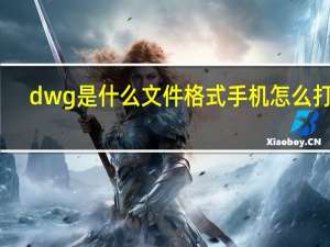dwg是什么文件格式手机怎么打开（dwg是什么文件）