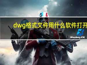 dwg格式文件用什么软件打开（dmg文件怎么打开）