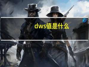 dws值是什么