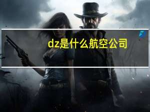 dz是什么航空公司