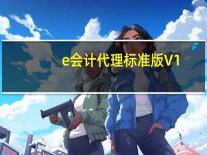 e会计代理标准版 V1.1802 官方版（e会计代理标准版 V1.1802 官方版功能简介）