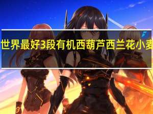 earth best 世界最好 3段有机西葫芦西兰花小麦泥卡路里是多少