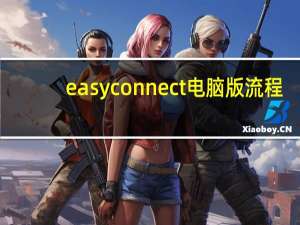 easyconnect电脑版流程（easyconnect电脑版下载）