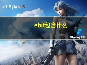 ebit包含什么