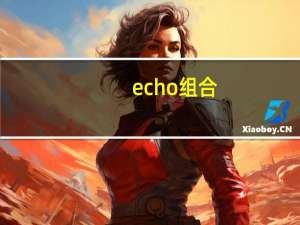 echo组合