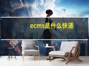 ecms是什么快递
