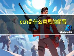 ecn是什么意思的简写（ecn是什么意思）