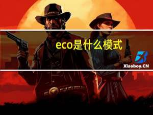 eco是什么模式