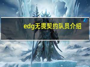 edg无畏契约队员介绍