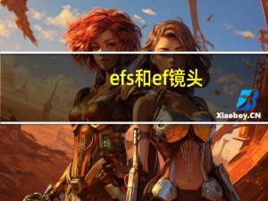 efs和ef镜头（EFS指什么）