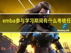 emba参与学习期间有什么考核任务吗