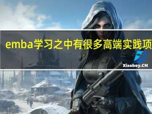 emba学习之中有很多高端实践项目吗
