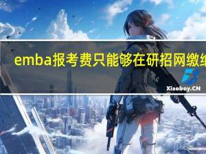 emba报考费只能够在研招网缴纳吗