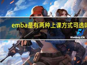 emba是有两种上课方式可选吗