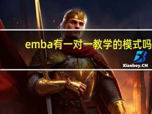 emba有一对一教学的模式吗