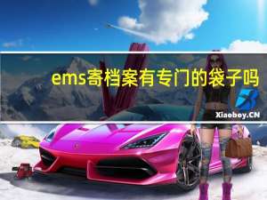 ems寄档案有专门的袋子吗