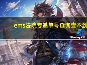 ems法院专递单号查询查不到（ems法院专递单号查询）