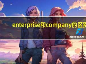 enterprise和company的区别