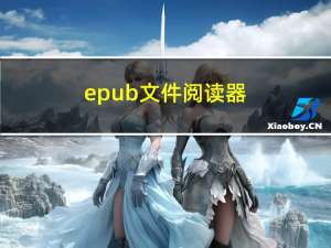 epub文件阅读器（asp文件阅读器）