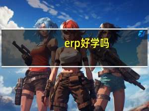erp好学吗