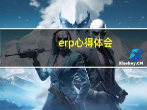 erp心得体会
