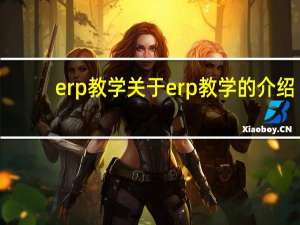 erp教学 关于erp教学的介绍