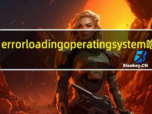 error loading operating system啥意思（error loading operating system）