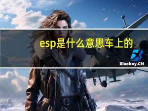 esp是什么意思车上的（esp是什么意思）
