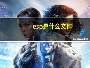 esp是什么文件