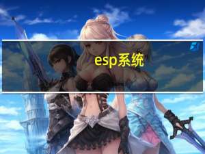 esp系统