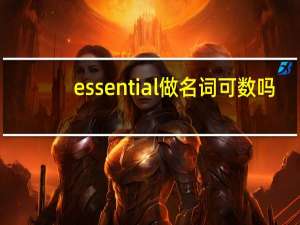 essential做名词可数吗