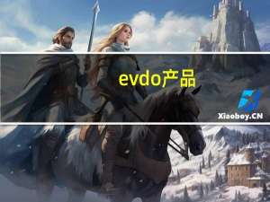 evdo产品（evdo上网）