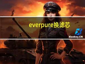 everpure换滤芯（everpure）