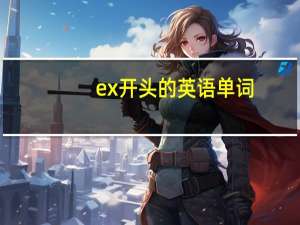 ex开头的英语单词（exk）