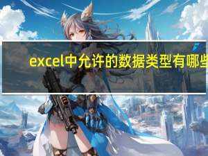 excel中允许的数据类型有哪些（excel输入的数据类型分为哪几类）