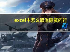 excel中怎么取消隐藏的行（如何取消隐藏excel表格中的行）