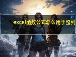 excel函数公式怎么用于整列（excel函数公式怎么用）