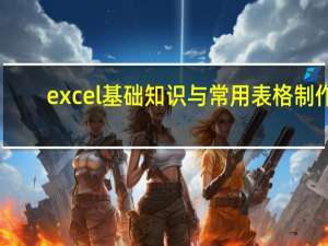 excel基础知识与常用表格制作（excel基本表格制作）