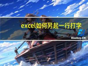 excel如何另起一行打字（excel表文字另起一行）