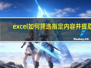 excel如何筛选指定内容并提取（excel如何筛选出指定数据）