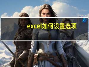 excel如何设置选项（excel选项按钮设置）